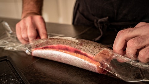 Hausgebeizte Lachsforelle