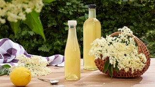 Holunderblüten-Sirup