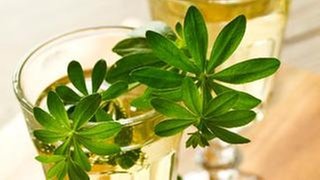 Waldmeister-Sirup