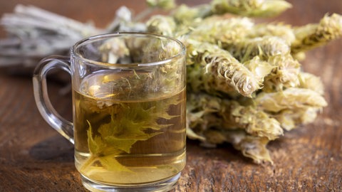 Griechischer Bergseetee