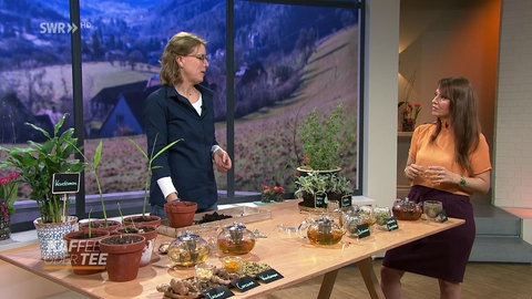 Gärtnermeisterin und Moderatorin Fatma Mittler-Solak