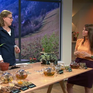 Gärtnermeisterin und Moderatorin Fatma Mittler-Solak