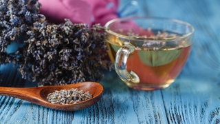 Lose Blüten von Lavendel