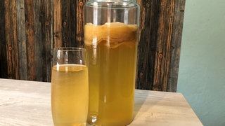 Klassischer Kombucha aus grünem Tee