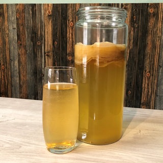 Klassischer Kombucha aus grünem Tee