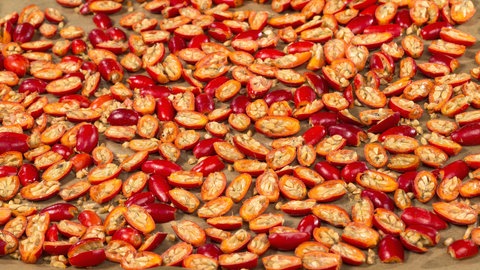 Halbierte Hagebutten auf einem Backblech. Im Ofen kann man sie gut trocknen.