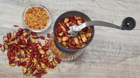 Getrocknete Hagebutten in einer Kaffeemühle: Hagebutten kann man gut zu Pulver verarbeiten.