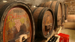 Mostbesen in Glems mit Most in den Fässern.