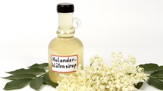 Eine kleine Flasche Holundersirup, davor liegen Holunderblüten.