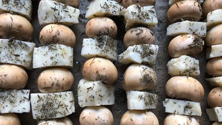 Champignon-Halloumi-Spiesse liegen nebeneinander