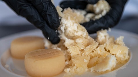 Zerkrümelter Harzer Käse