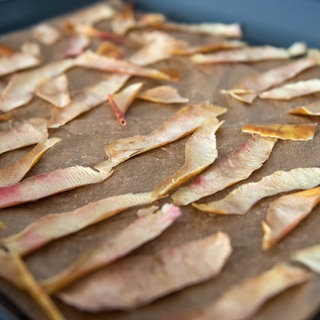 Knusprige Apfelschalenchips