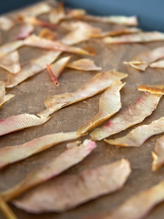 Knusprige Apfelschalenchips