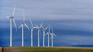 7 Windräder auf einem Feld: Windräder durchmischen die Luft. Das kann sich auf die Temperatur in Bodennähe auswirken. Sie können dadurch Bodenfrost reduzieren oder den Boden austrocknen.