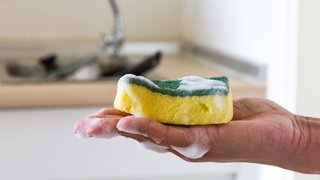 Der Spülschwamm gehört zu den größten Keimschleudern im Haushalt