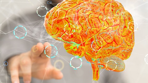 Die meisten Trainingstexte für KI-Modelle werden von Menschen erzeugt. Das Team um Max Pellert will mit Psychotests die hintergründigen Vorstellungen von Sprach-KI-Modellen sichtbar machen.