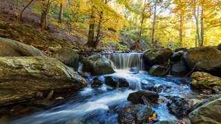 Fluss im Herbst-Wald mit kleinem Wasserfall