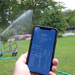 Ein iPhone zeigt eine Temperatur von 31 Grad Celsius 