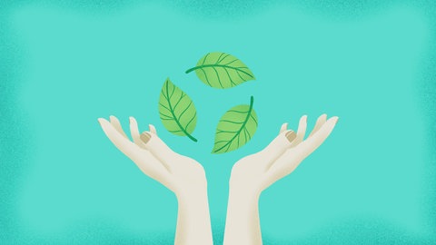 Darf eine Firma damit werben, dass eines ihrer Produkte "klimaneutral" ist - auch, wenn lediglich der CO2-Ausstoß kompensiert wird? Ja, aber unter Auflagen, hat der BGH entschieden.