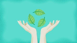 Darf eine Firma damit werben, dass eines ihrer Produkte "klimaneutral" ist - auch, wenn lediglich der CO2-Ausstoß kompensiert wird? Ja, aber unter Auflagen, hat der BGH entschieden.