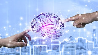 Wie wird Künstliche Intelligenz oder KI im Alltag von Verbrauchern künftig aussehen? Zu sehen ist ein Piktogramm eines Gehirns mit zwei Händen, die darauf zeigen. Dahinter ein blauer Hintergrund und eine Abbildung einer Skyline. 