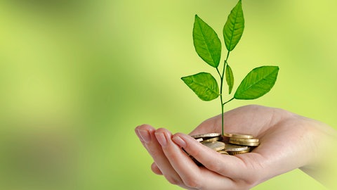 In einer Hand liegen Münzen, aus denen eine Pflanze wächst.