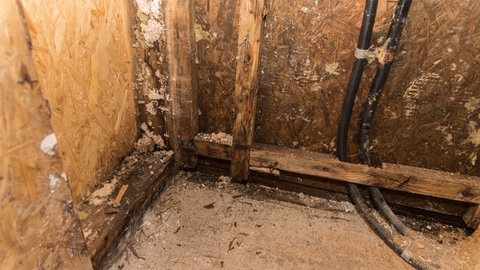 Man sieht eine Ecke im Raum aus Holzfaserplatten. Die Ecke ist feucht und das holz Blättert ab.