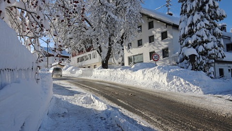 Schnee im Winter: Geräumter Gehweg in Wohngebiet, daneben Bäume und Büsche in den Gärten. Weil Pflanzen, Hecken und Bäume am Straßenrand leiden, ist bei Glatteis und Schnee Streusalz für den Gehweg in aller Regel verboten.