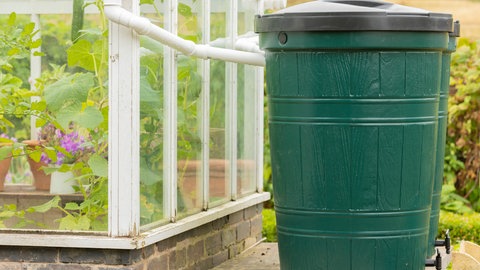 Regentonne steht im Garten