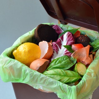 Biotonne mit Bioabfall