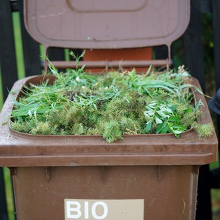 Biotonne mit Gartenabfällen
