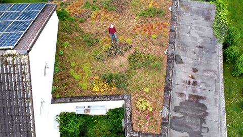 Eine Person steht auf einem begrünten Dach. Flachdächer können mit weniger Aufwand begrünt werden, als Schrägdächer.
