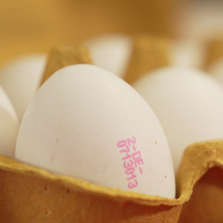 Eier im Karton