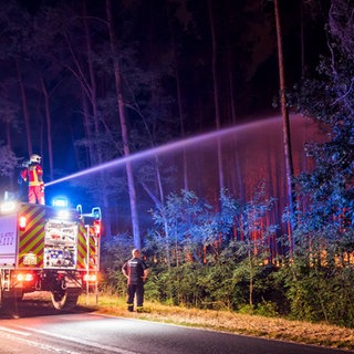 Wie rüsten sich die Feuerwehren gegen Waldbrände?