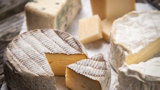 verschiedene Weichkäse