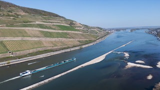 Auswirkungen der Trockenheit auf die Landwirtschaft | Landwirt Jürgen Vogelgesang: "Es steht und fällt mit den kommenden Wochen"