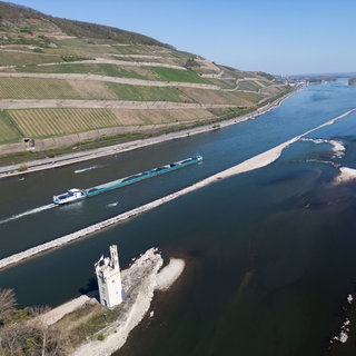 Auswirkungen der Trockenheit auf die Landwirtschaft | Landwirt Jürgen Vogelgesang: "Es steht und fällt mit den kommenden Wochen"