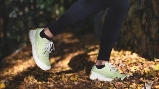 Laufschuhe im Wald | Ab wann kostet Jogging im Wald Geld?