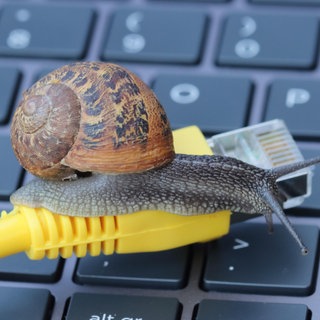 Recht auf Sonderkündigung: Das hilft gegen langsames Internet