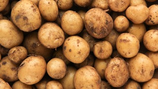 Kartoffeln frisch nach der Ernte. Erstaunliche Fakten und leckere Rezepte.