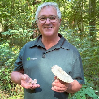 Mann mit Pilzen in der Hand lächelt in die Kamera