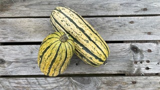 Die Top 5 der leckersten Kürbisse: Bush Delicata