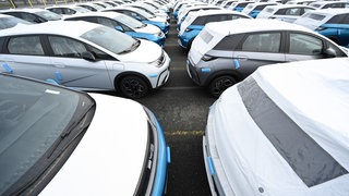 Zahlreiche Neuwagen des Modells Dolphin vom Autohersteller BYD stehen im BLG Auto Terminal Bremerhaven.