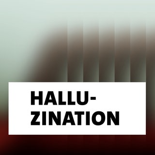 Wort der Woche: Halluzination