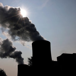 Das RWE-Kohlekraftwerk Neurath an einem sonnigen Vormittag.