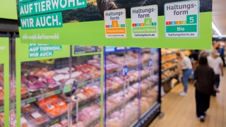 Die Albert Schweitzer Stiftung zeigt im Masthuhn-Report, wo bei Hähnchenfleisch auf die Haltung von Hühnern geachetet wird. Fleischwaren liegen bei ALDI SÜD in Kühlschränken nach Haltungsform sortiert. 