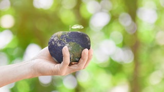 Hand hält Welt-Apfel