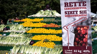 Der Verband "Foodsharing" setzt sich gegen die Verschwendung von Lebensmitteln ein. Michael Schäffer ist Botschafter der Initiative. | Gegen die Verschwendung: So funktioniert Foodsharing