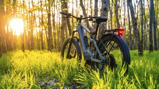 Ein E-Bike im Wald