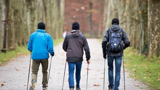 Drei Männer gehen mit Wanderstöcken in den Händen einen Weg entlang 